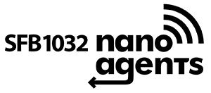 nano agens logo_schw.