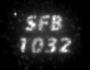 SFB_1032_SMCP